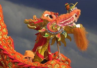  Lion Dance, Chinese New Year
